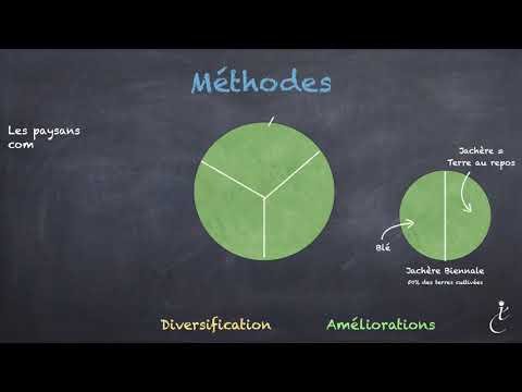 Grand sujet 6 - La révolution agricole du Moyen-Age