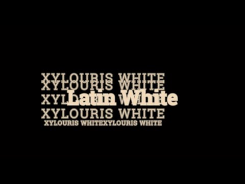 Xylouris White "Latin White" (Official Music Video)