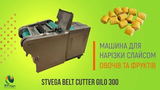 Нарізка слайсами, кубиками кабачкків, огірків, перцю vegetable cutting machine for sale - Image 10 | Machineryline NG New Нарізка слайсами, кубиками кабачкків, огірків, перцю vegetable cutting machine | Image 10 - Machineryline
