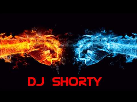 DJ SHORTY-LOVE THE WAY YOU LIE (HANDS UP MIX)
