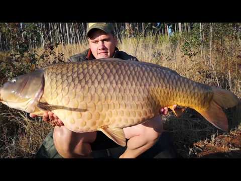 BIG Mountain Carp - Official Trailer