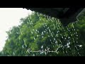 Rain Whatsapp Status Rain Mood Whatsapp Status Rain Happiness