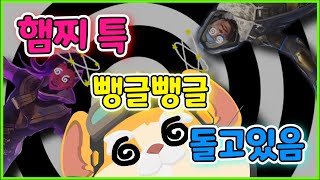 햄찌는 돌기만 해도 1인분?
