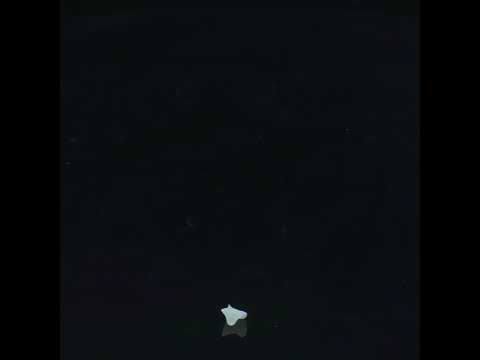 YouTube 썸네일
