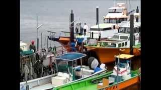 えさ政釣船店のイメージ