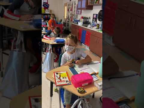 Picture Graphs 2nd grade