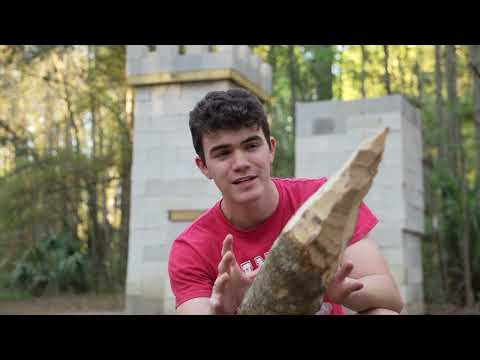 I Built a Zombie Survival Shelter