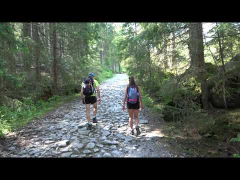 Brzeziny - Hala Gąsienicowa 2020.06.27