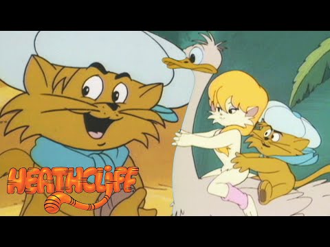 Jungle Vacation | Heathcliff - WildBrain | Full Episodes for Kids