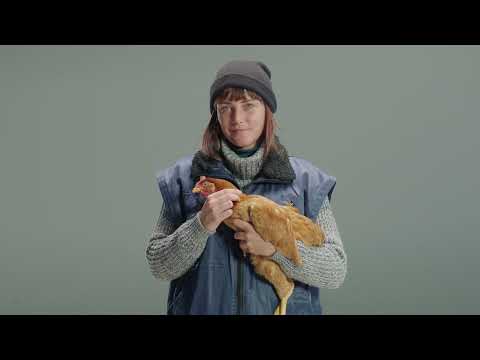 Werken bij FOD Volksgezondheid, Veiligheid van de voedselketen en Leefmilieu - SPF Santé Publique, Sécurité de la Chaine Alimentaire et Environnement - HR foto 