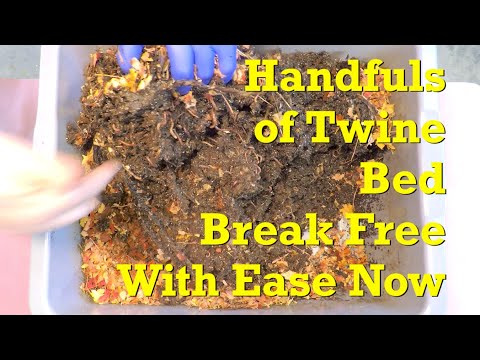 Intertwined twine bedding in mixed red worm bin shows signs of breakdown - vermicompost