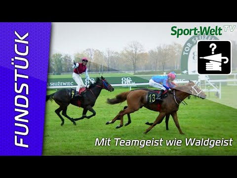 Fundstück - Mit Teamgeist wie Waldgeist