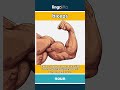 biceps - the big muscle on the front... video thumbnail