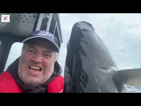 Northern Norway Tour 2020 part II