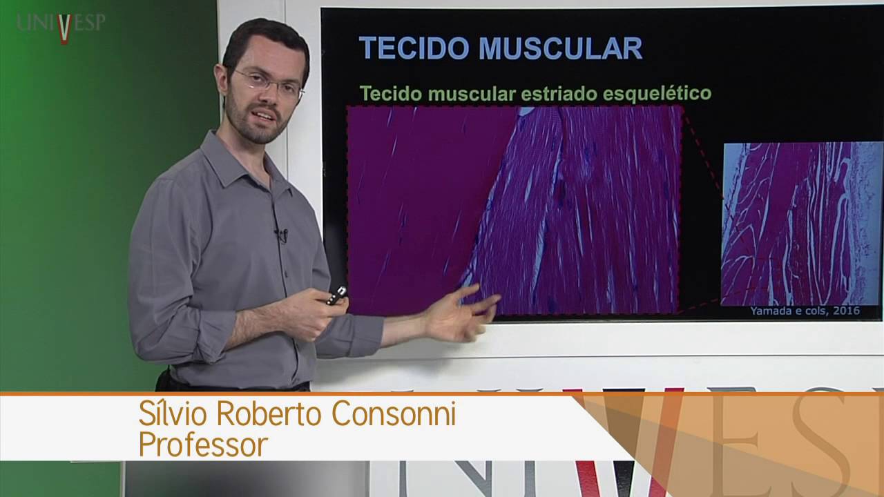 Células e Tecidos - aula 26 - Biologia do tecido muscular