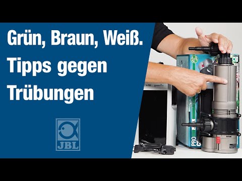 JBL TV #46: Freie Sicht im Aquarium - Trübes Wasser klar bekommen