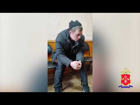 Жителю Осинников, который привел лошадь в квартиру многоэтажного дома, назначен административный арест за мелкое хулиганство