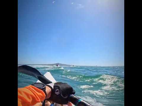 Fun with boat wake #surfski #seakayaking #boat #newzealand