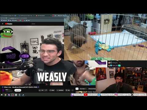 Hasan Reacts To okbuddy [4/28/2023] | Hasanabi okbuddyhasan