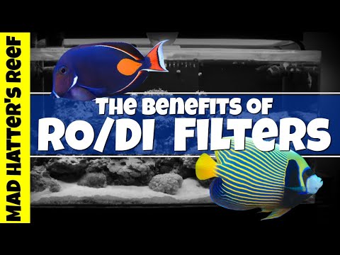 The Benefits of RO/DI Filters For Your Reef Tank.