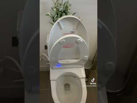 What can a $1,300 #bidet seat do? #TOTO #s550e | #BidetKing.com