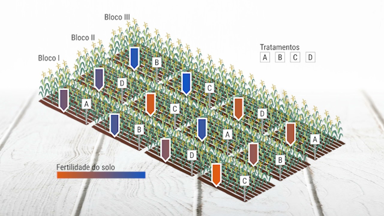 Delineamento em Blocos Casualizados - Conceitos Básicos