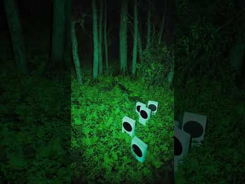 So, is this where Series S consoles come from? ❎ #Xbox #Unexplained #InTheWoods