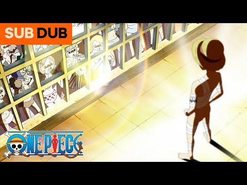 "What Are Family Jewels?" | One Piece