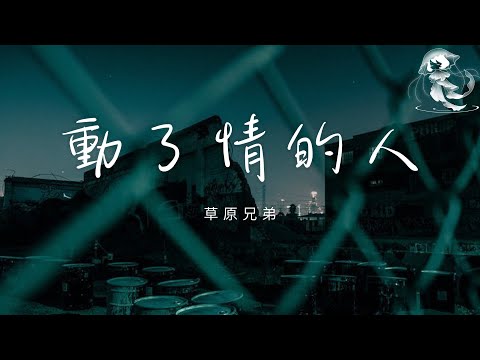 草原兄弟 - 動了情的人「動了情的人才會覺得夜漫長 畢竟放不下的心事最難藏」【動態歌詞】♪