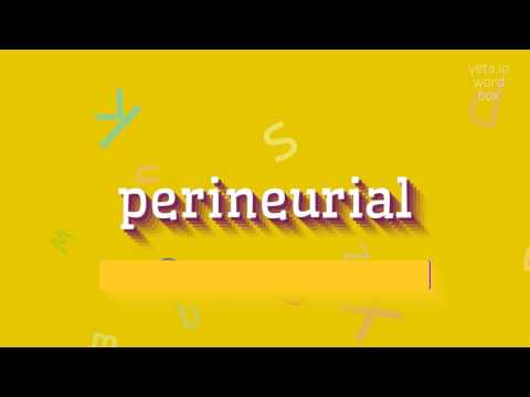HOW TO PRONOUNCE PERINEURIAL? #perineurial