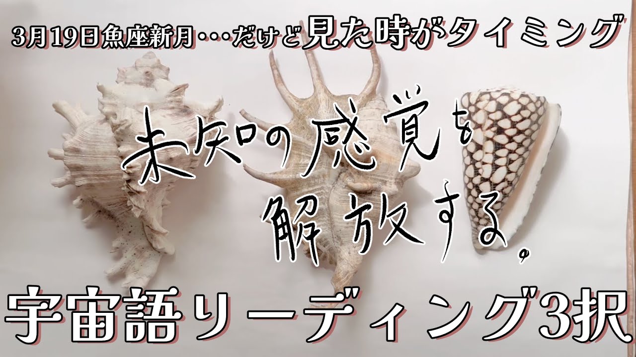 【超ASMR】考えないで、感じる。そこから新しい人生が始まる。宇宙語リーディング3択【私たちは波動の存在】