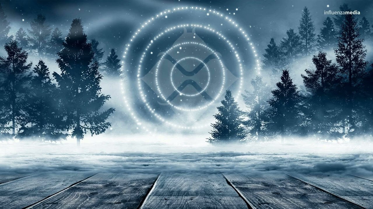 Bad 4 Life - The Flight