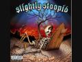 Slightly Stoopid - Closer To The Sun - 19 - Comb 4 My Dome