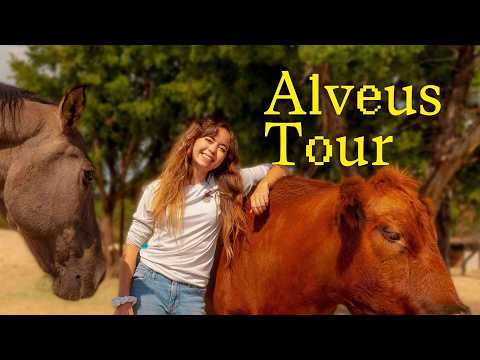 Inside Maya Higa's Animal Sanctuary