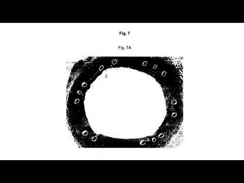 Dwaallicht - Cyclic Ester