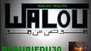 Marocain Rai Walou Walou 2011   YouTube
