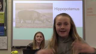 One Word At A Time   Hippopotamus