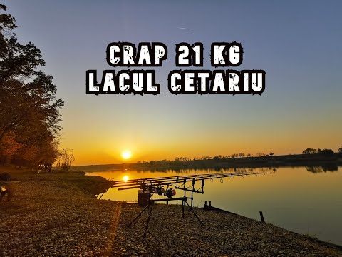 Pescuit la Lacul Cetariu - Crap 21 kg