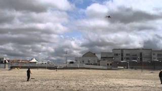 Stella Cerfvolantmania - Samuel Roddier