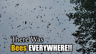 Apimaye Hive Swarms And a Quick Look at the Hive Defender Bottom Board