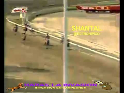 LA RINCONADA 10 CARRERA DOMINGO 08 DE FEBRERO DEL 2015