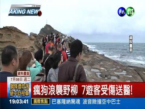 瘋狗浪襲野柳 7遊客受傷送醫!