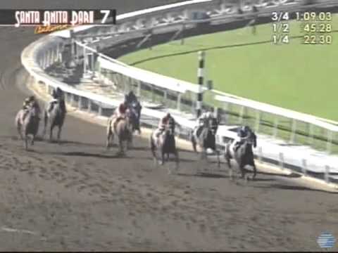 2011 Goodwood Stakes