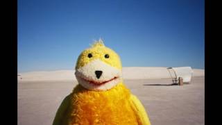 Corvus  "Hello MR Oizo"