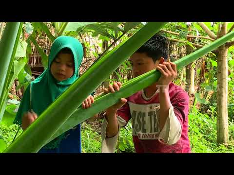 download lagu mp3 mp4 Orang Pinggiran Trans7, download lagu Orang Pinggiran Trans7 gratis, unduh video klip Orang Pinggiran Trans7