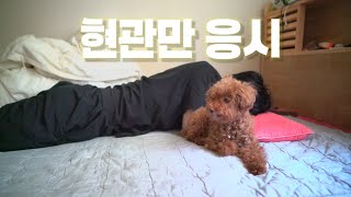 강아지를 오빠에게 맡기고 여행을 다녀왔더니...
