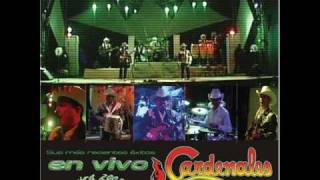 Cardenales Por Las Damas vivo