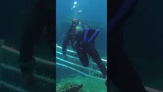 Surrounded by pure beauty he studies the slow decay of underwater treasures