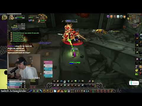 The reason why I don't like playing Paladin Tank in Hardcore WoW