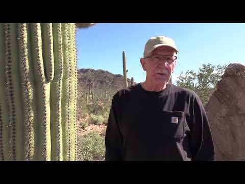 download lagu mp3 mp4 Hickok45, download lagu Hickok45 gratis, unduh video klip Hickok45